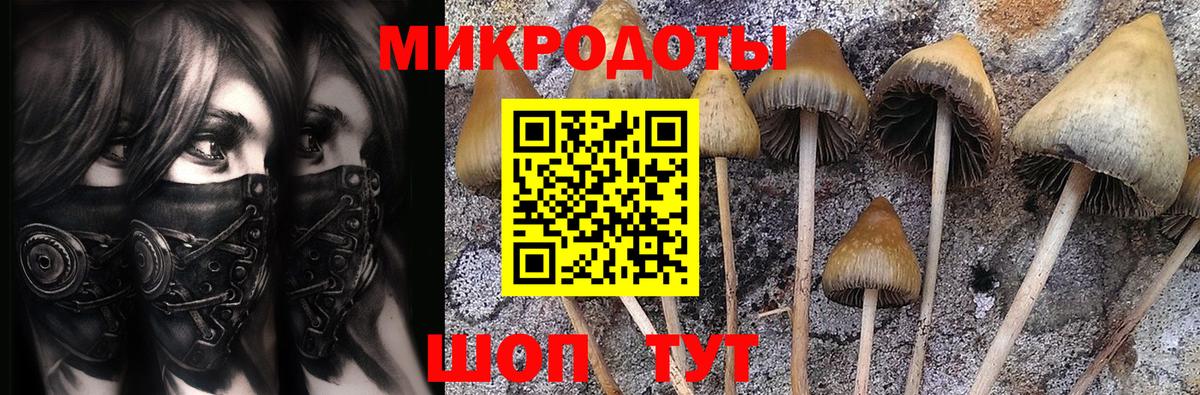 Галлюциногенные грибы прущие грибы  Вход с VPN  Пермь 